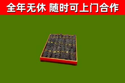 观山湖回收海参